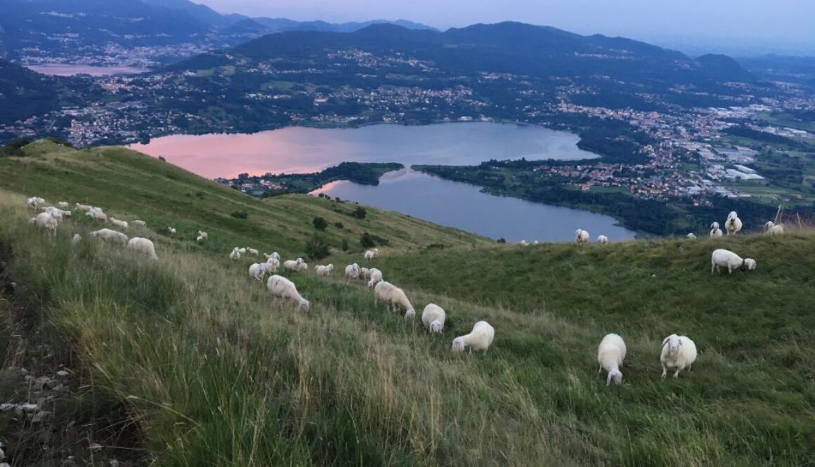 Sentiero 11 sera